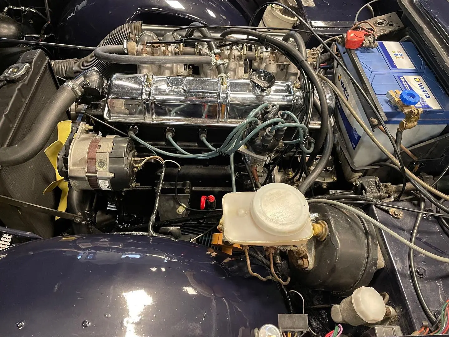 Compartiment moteur d'un cabriolet ancien six cylindres remis en état : cache-culbuteurs chromé, alternateur et maître-cylindre